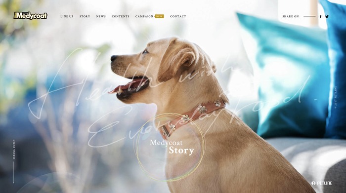 WEB　デザイン　アイディア　ウェブサイト　犬