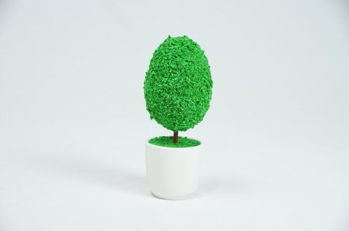 [bonsai man] ͷ ֹС - bonsai man