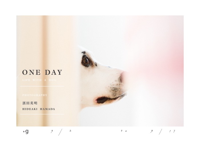 Hideaki Hamada's "One Day—Life With A Dog" Exhibition Flyer at Xiaoqi +g gallery in Taipei 