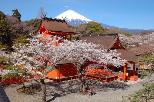 日本 富士山 行程 旅行