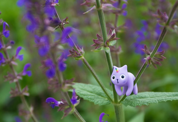 Lavender unicorn cat earring enjoying the flowers