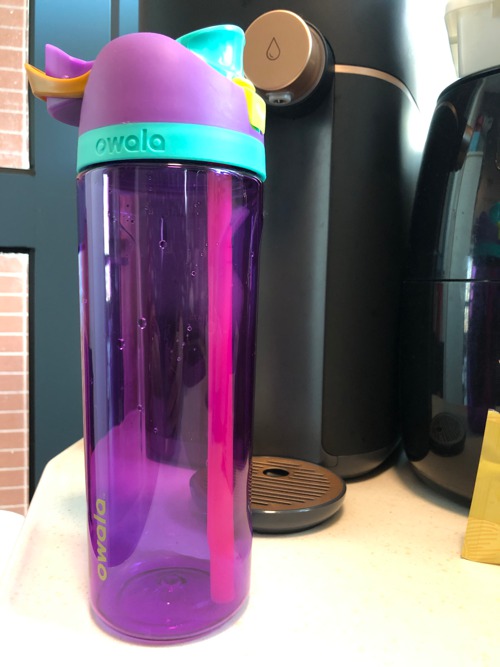 Owala FreeSip 25 oz. Tritan Plastic Water Bottle - Purple 