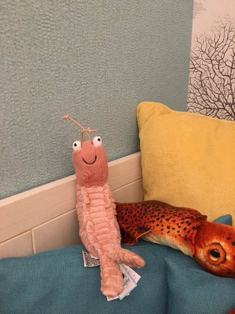Sheldon Shrimp 大明蝦22公分Jellycat｜公仔/玩偶人氣榜- Pinkoi