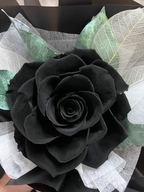 For the unique you. Black/Gray Minimalist Immortal Ecuador's Top Big Rose -  Shop Lanemore Dried Flowers & Bouquets - Pinkoi