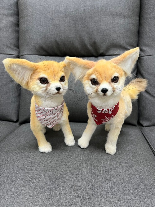 Realistic fennec fox toy - Shop MoonFoxToys Stuffed Dolls & Figurines -  Pinkoi