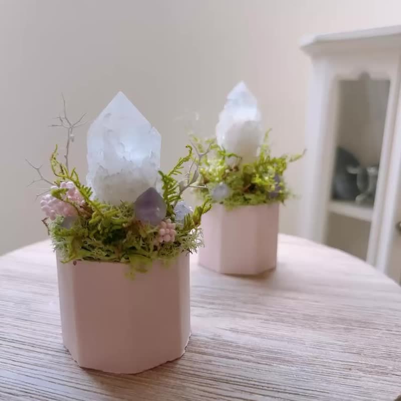 菠蘿白水晶簇-幽靜小雪山。永生葉材綠植栽 - 盆栽/植栽 - 水晶 白色