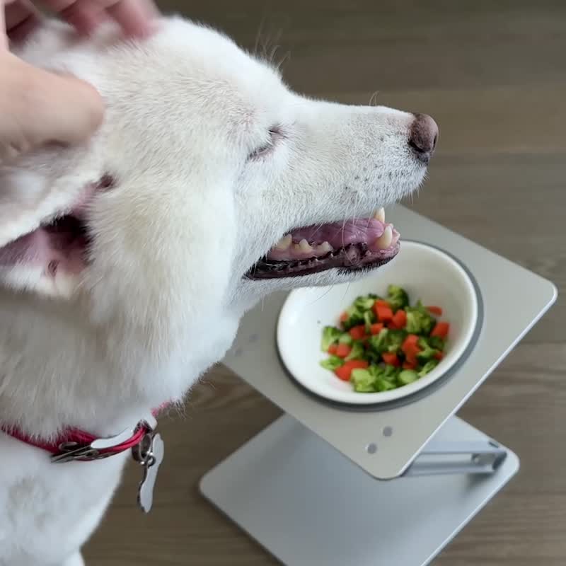 【LINGO Growing Pet Bowl Holder】Limited time special offer - ชามอาหารสัตว์ - อลูมิเนียมอัลลอยด์ สีเงิน