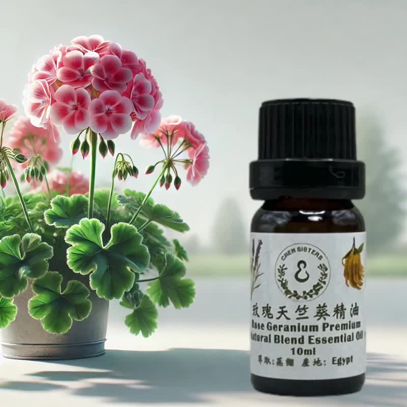 花香調精油 玫瑰天竺葵 100%單方純精油 10ml/50ml  贈精美擴香石 - 香氛/精油/擴香 - 精油 