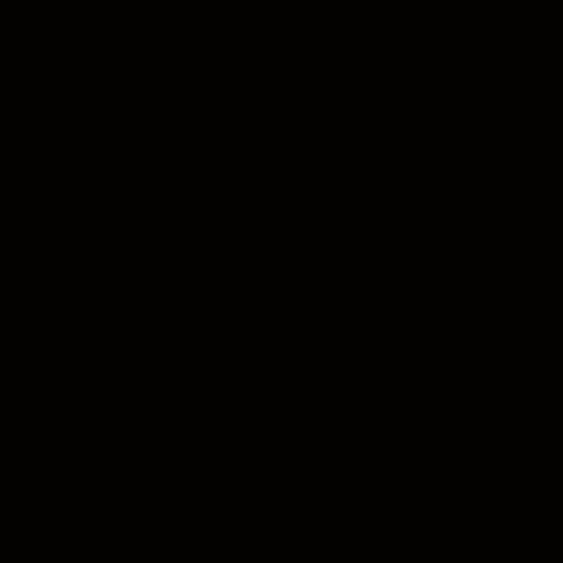 【黑碧璽原石】手作吊飾項鍊 / 防小人水晶 - 吊飾/掛飾 - 水晶 黑色