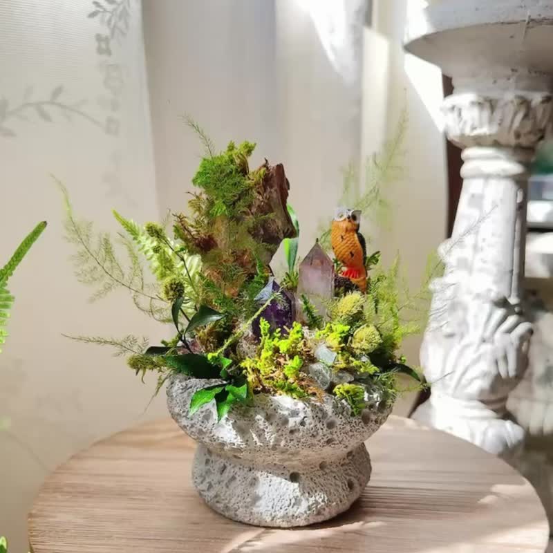 守望者 貓頭鷹。紫水晶不用澆水盆栽 永生葉材 - 盆栽/植栽 - 水晶 綠色