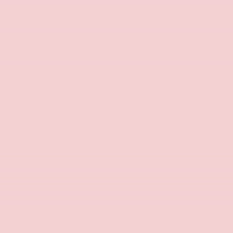ALLEZ 奧莉薇閣  24吋貨櫃競技場系列  PC硬殼可加大容量 - 行李箱 / 旅行喼 - 塑膠 粉紅色