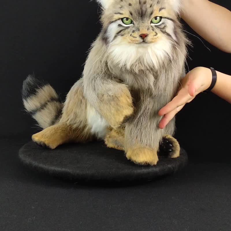 Life-size realistic stuffed animal: palla's manul cat, poseable - 公仔/玩偶 - 其他材質 