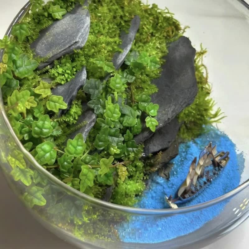 Voyage of Azure / Themed Customized Landscape Ecological Terrarium - ตกแต่งต้นไม้ - พืช/ดอกไม้ 