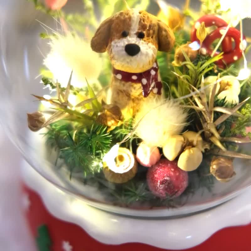 材料包賣場 聖誕狗狗燈串水晶球材料包 附卡片 - 花藝/盆栽/植栽 - 植物．花 綠色