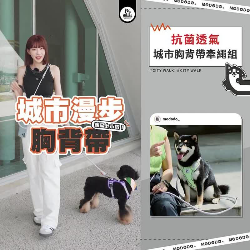 【Mododo MODODO】roaming the city multifunctional leash - Collars & Leashes - Other Materials 