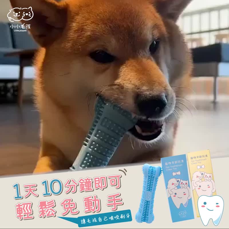 寵物潔牙牙刷玩具【小小毛孩】 - 貓/狗玩具 - 矽膠 