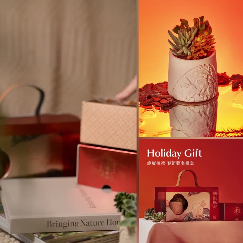 Chinese New Year Gift Box Double Box Set/ Plant Mullet Roe - อาหารคาวทานเล่น - พืช/ดอกไม้ สีแดง
