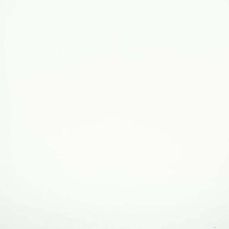 黑色花朵透明長袖上衣 / 罩衫 - 女上衣/長袖上衣 - 棉．麻 黑色