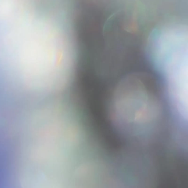 silkmaster × Gakudo  Skateboards - Posters - Wood Multicolor