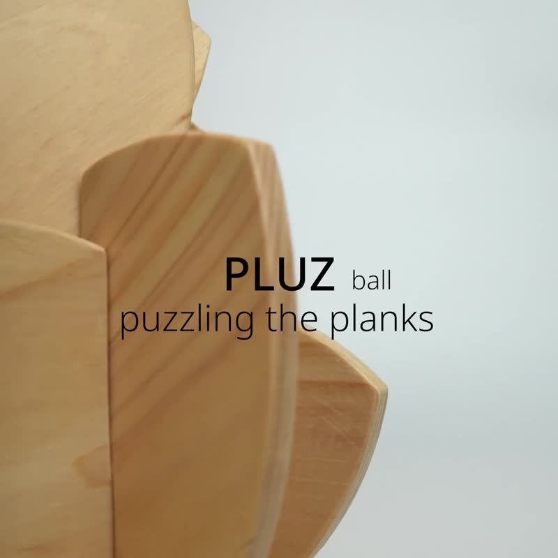 3D Wooden Puzzle x Sphere | Interlocking Wood Toy | Educational | Displayable | Interior Decor | Free Name Engraving | Free Gift Wrapping - Puzzles - Wood 
