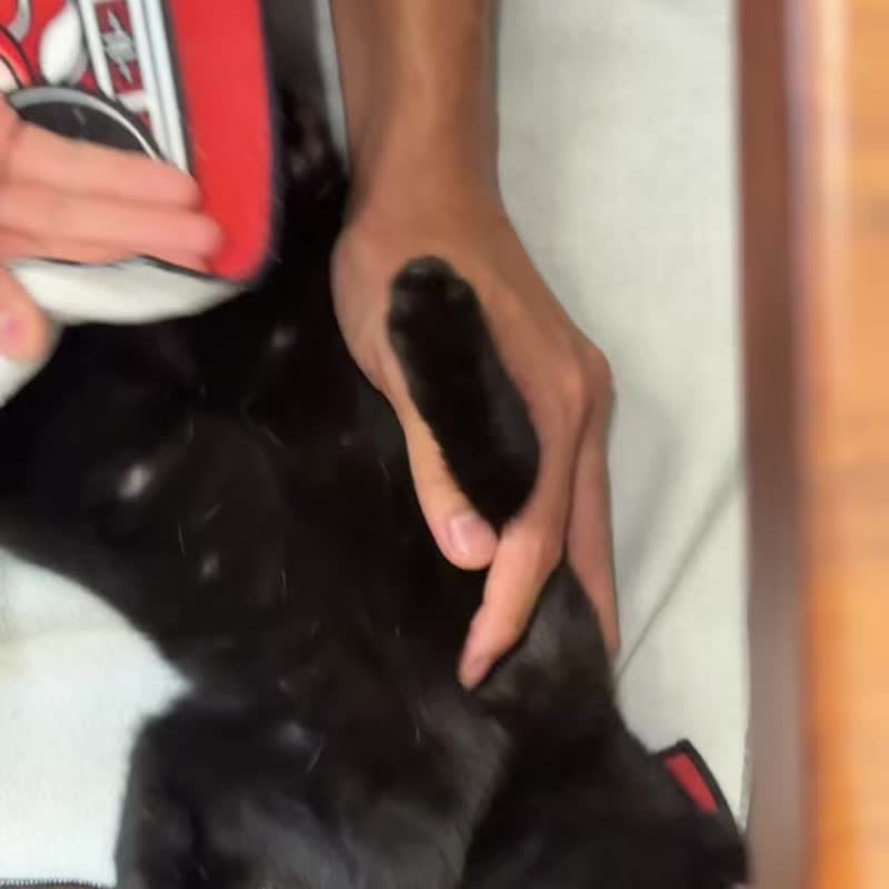 【45x45cm 魔術百貼布】自黏收納袋 相機保護包布 防滑棋牌檯墊 - 相機包/相機袋 - 其他人造纖維 多色