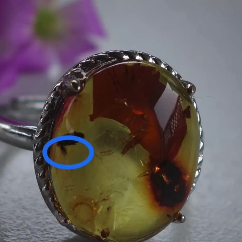 天然蟲珀 琥珀 波羅的海 金珀 戒指 2.7克 植物珀 花珀 非二代琥 - 戒指 - 半寶石 