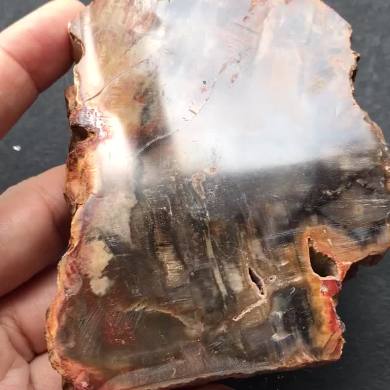 木化石 樹化玉 水晶 天然原石 crystal 擺設 - 擺飾/家飾品 - 石頭 多色