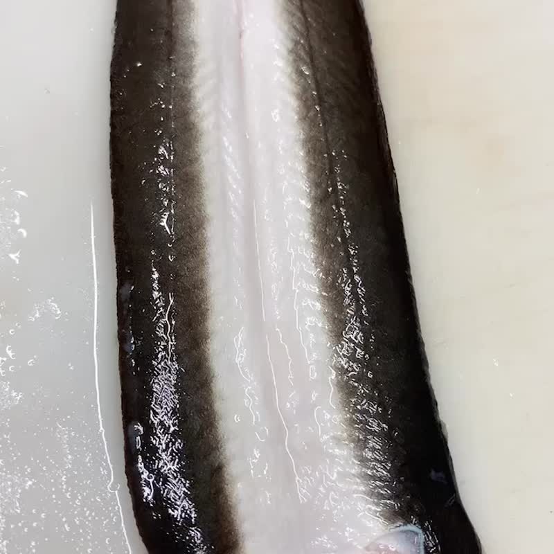 [Shengsheng] Exported Japanese eel 4-tail luxury comprehensive gift box set - อาหารคาวทานเล่น - วัสดุอื่นๆ สีแดง