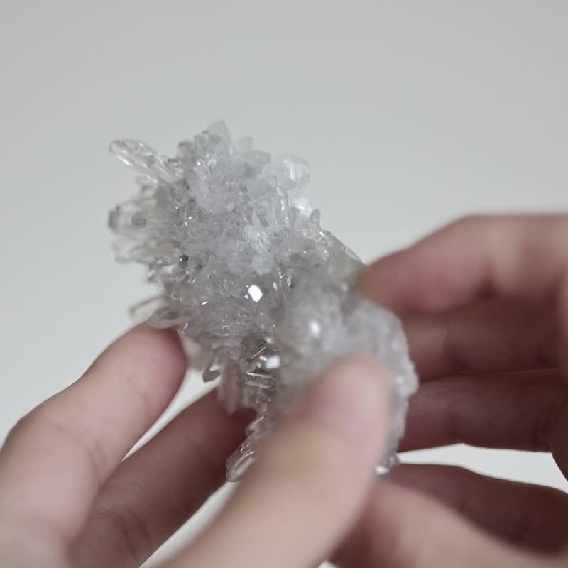 白菊花晶簇 Quartz Crystal Cluster no.10 - 擺飾/家飾品 - 水晶 透明