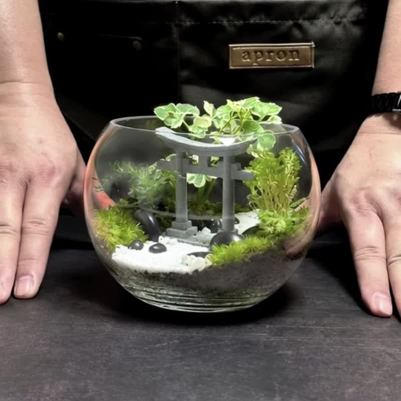 Path of Wabi-Sabi / Handmade Customized Miniature Landscape Ecological Basin - ตกแต่งต้นไม้ - พืช/ดอกไม้ 