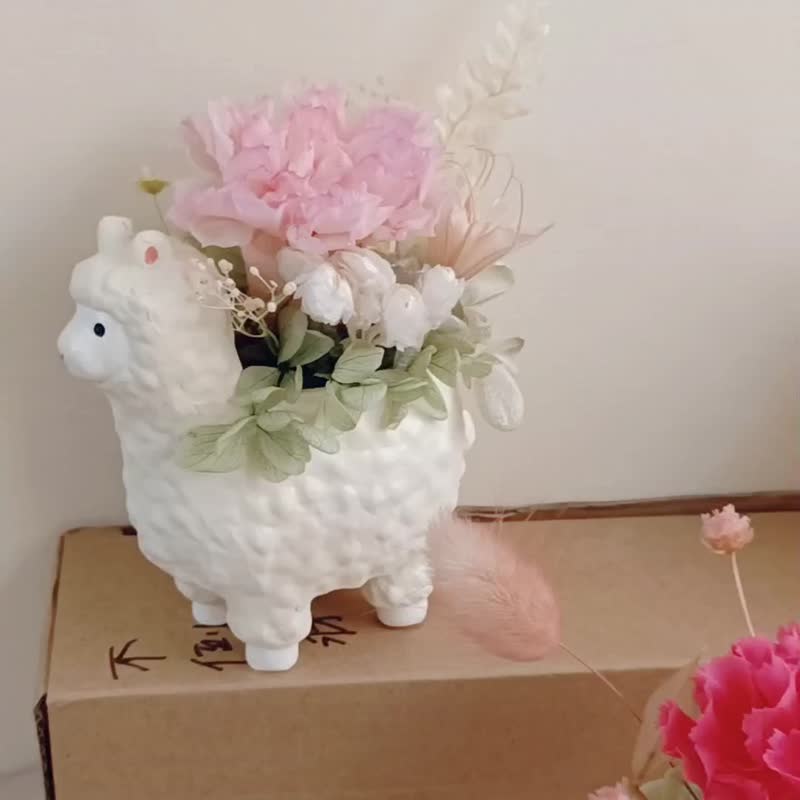 畢業花束禮物 粉紫永生康乃馨盆花桌花  生日畢業工商企業贈品七 - 乾燥花/永生花 - 植物．花 