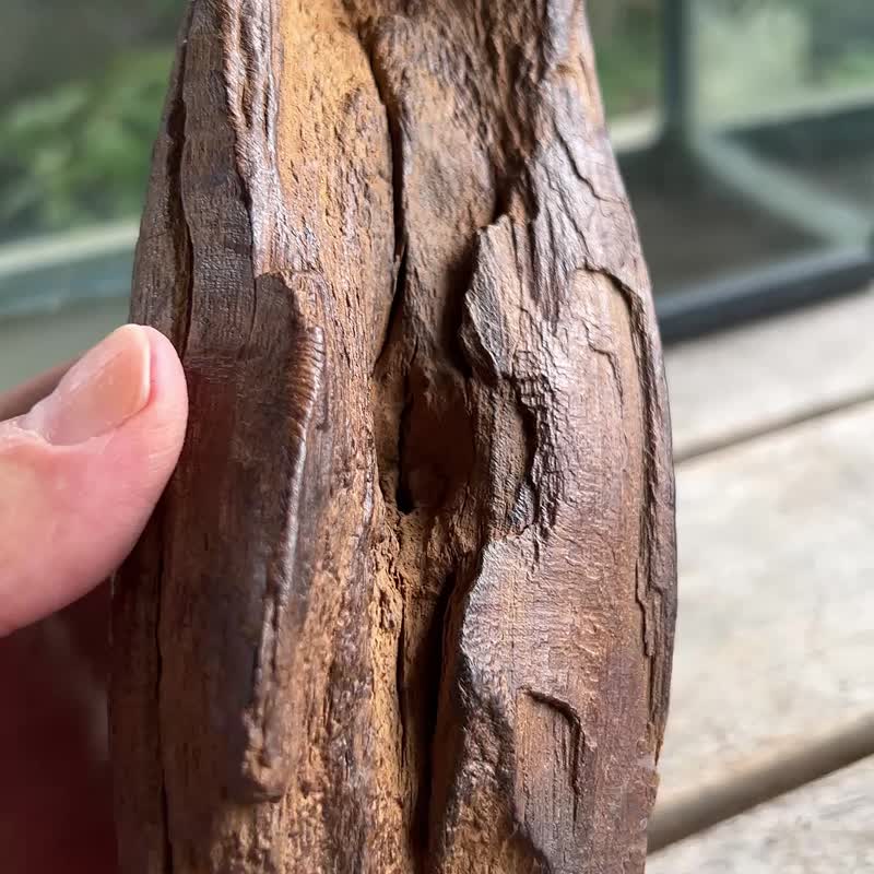 加里曼丹 野生沉香老料 285公克 沉香擺件 【沉水級】 星洲系 - 擺飾/家飾品 - 木頭 咖啡色