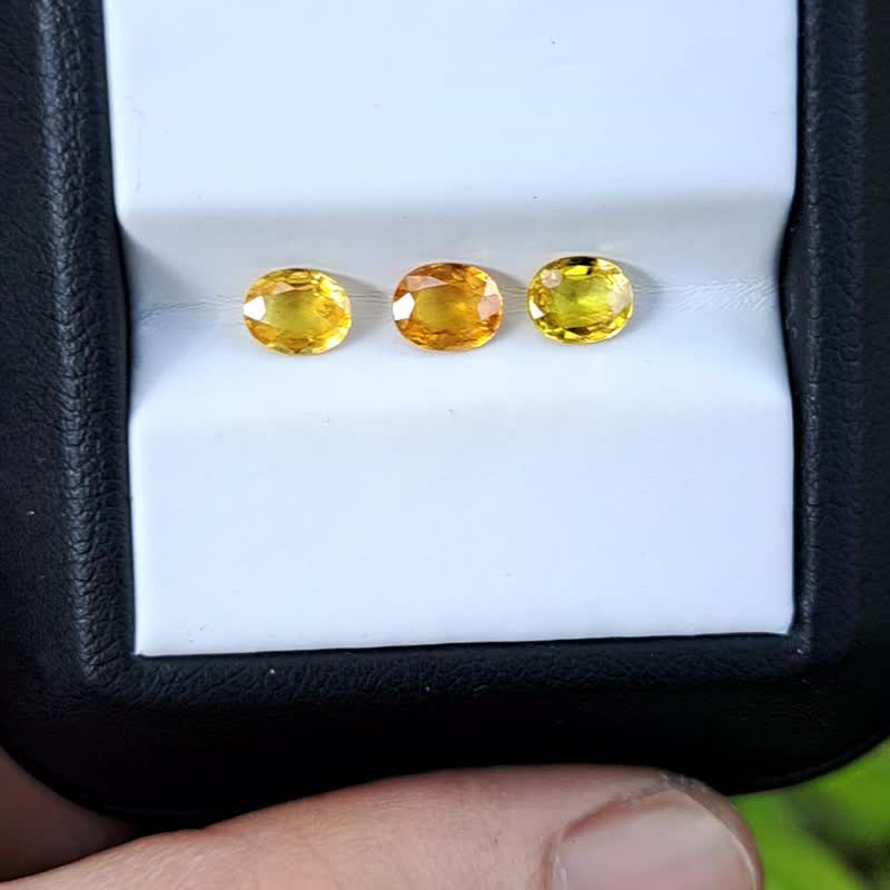 Natural Yellow Sapphire - Bangkaja,Thailand - Oval - 1.45 Cts. - 零件/散裝材料/工具 - 寶石 黃色