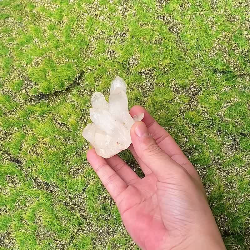 天然原礦菠蘿白水晶簇 開運 可消磁晶石手鍊 快速出貨 入厝禮物 - 擺飾/家飾品 - 水晶 白色