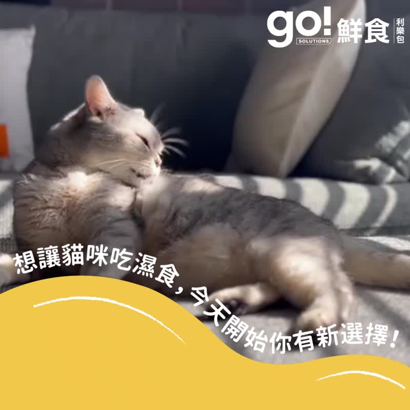 【貓主食罐】go! 無穀放牧羊嫩絲 鮮食餐包 貓罐 高含肉量 - 貓罐頭/鮮食 - 新鮮食材 