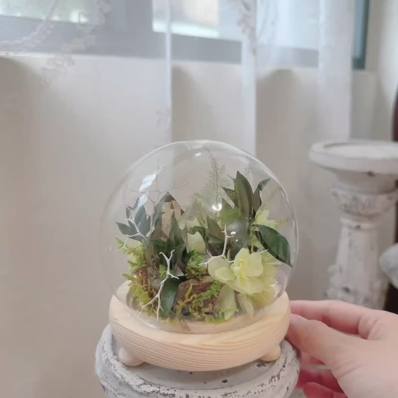 招財吸引力 巴西黃水晶 微景觀玻璃罩_不用澆水的永生葉材 - 盆栽/植栽 - 水晶 黃色
