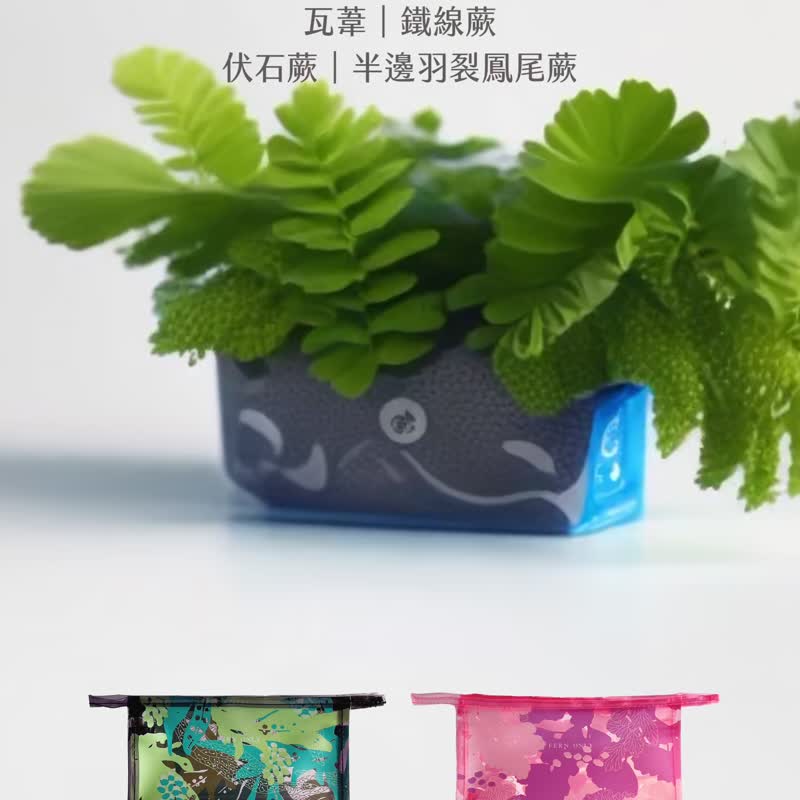 蕨透洗漱收納袋- 伏石蕨 | 蕨類 盥洗 牙刷 收納袋 收納包 畢業 - 化妝包/收納袋 - 防水材質 藍色