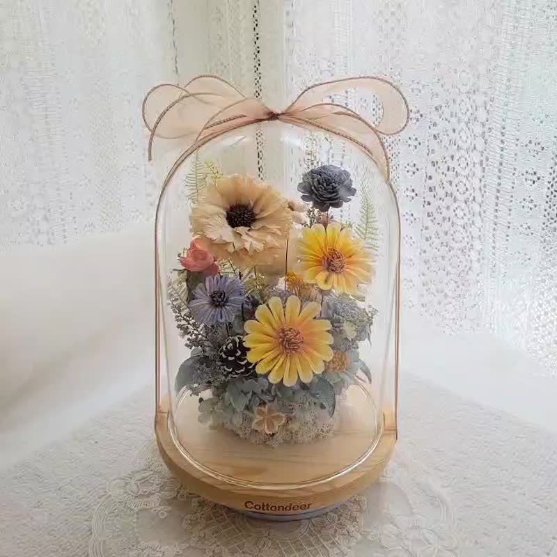 索拉太陽玻璃球罩盅。擺飾。附包裝。禮物。花禮 - 擺飾/家飾品 - 植物．花 