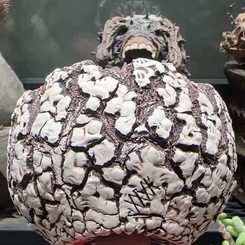 爆裂盆 - 植栽/盆栽 - 陶 