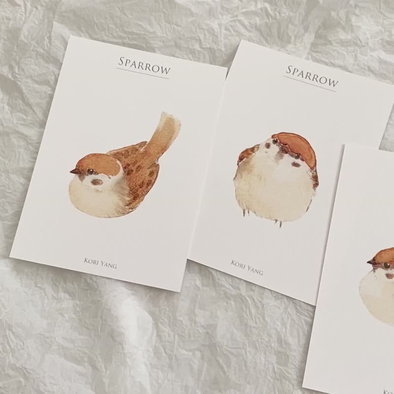Sparrow Postcard 60 - Cards & Postcards - Paper 