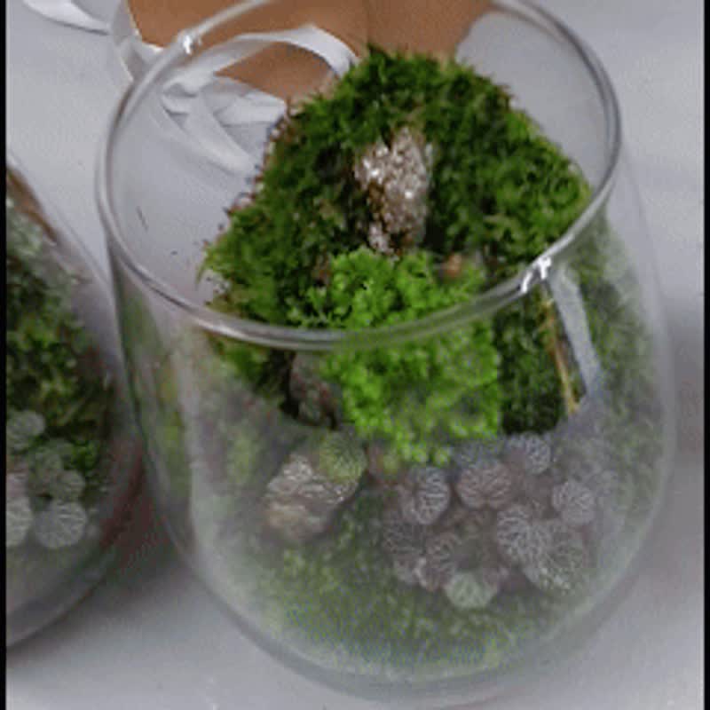 琉光碎境 DIY 體驗包 / 入門款礦石苔蘚瓶 - 花藝/盆栽/植栽 - 植物．花 