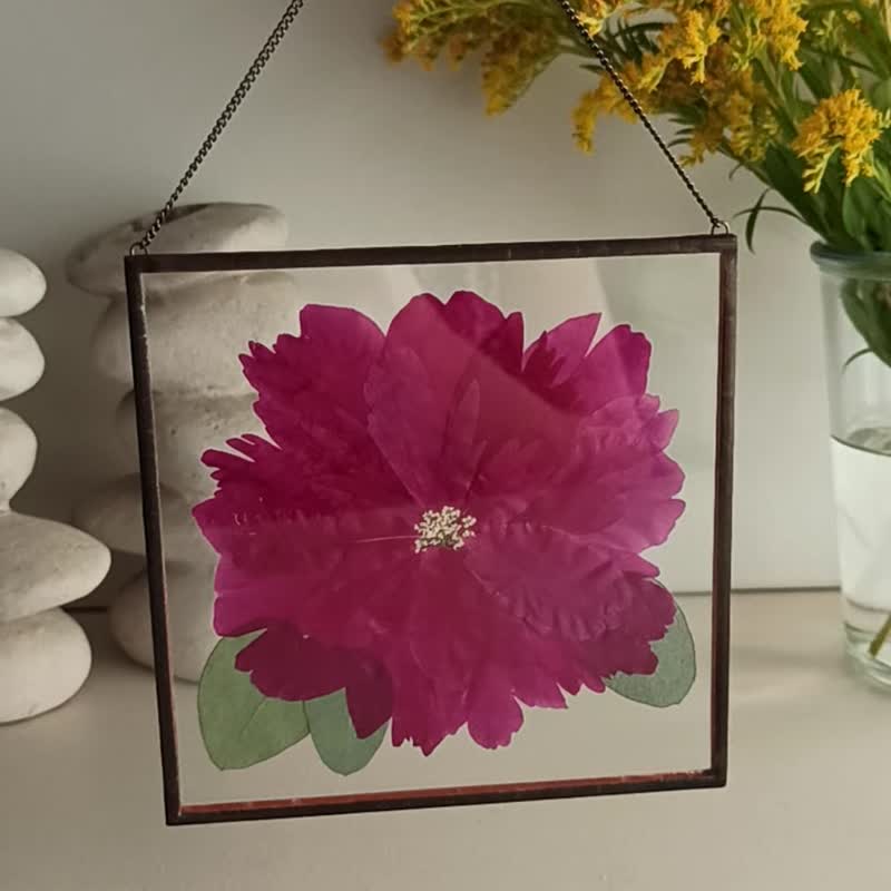 Real pressed pink peony Glass frame Botanical decoration  植物装饰  天然干花 押された花 牡丹 - Dried Flowers & Bouquets - Glass Multicolor