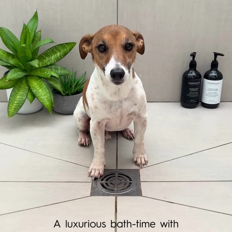 【smith&burton】寵物純淨洗毛精250ml(犬貓適用) - 寵物沐浴乳/洗毛精 - 濃縮/萃取物 