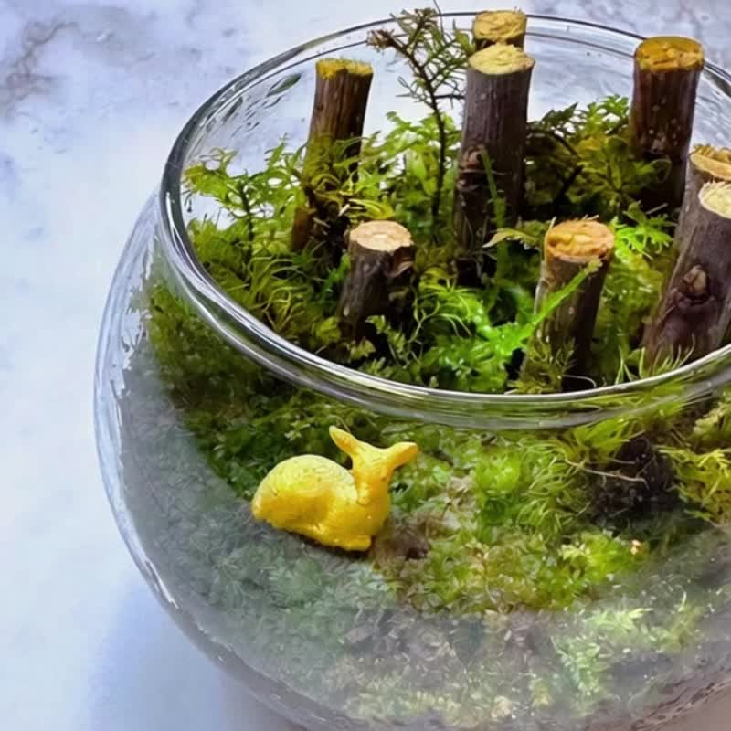 A Deer With You / Miniature Handcrafted Terrarium Ecosystem - ตกแต่งต้นไม้ - พืช/ดอกไม้ 