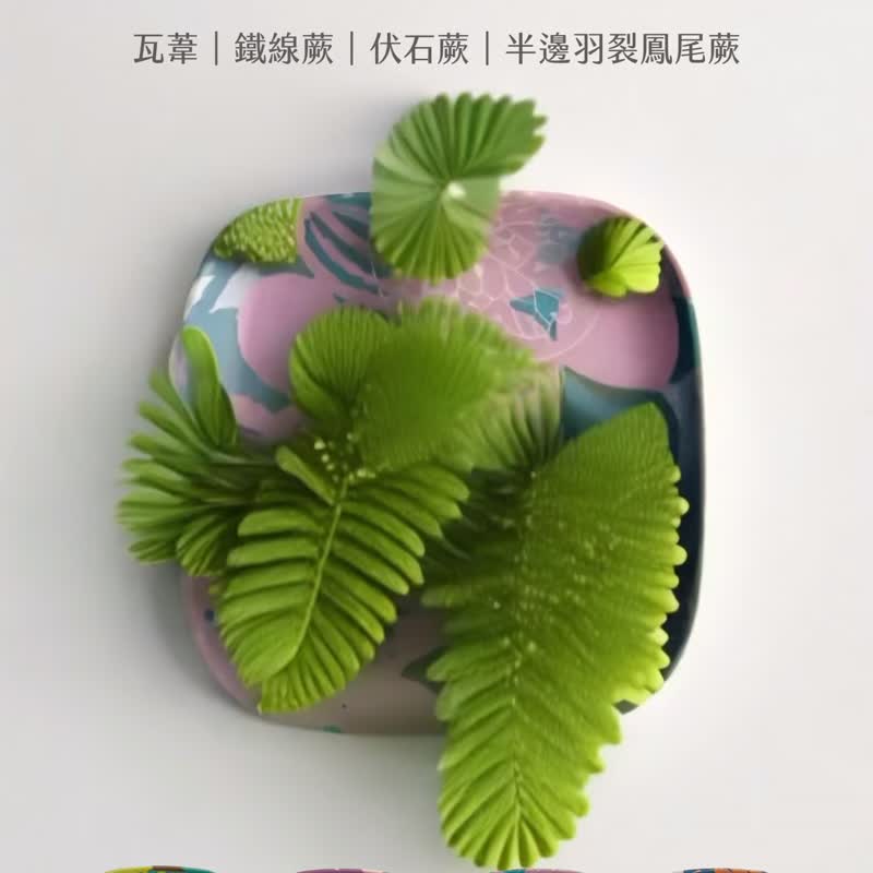蕨景環保小碟4.0 - 臺灣水龍骨 | 禮物 小碟 盤 餐具 吐骨 小碗 - 盤子/餐盤/盤架 - 環保材質 藍色