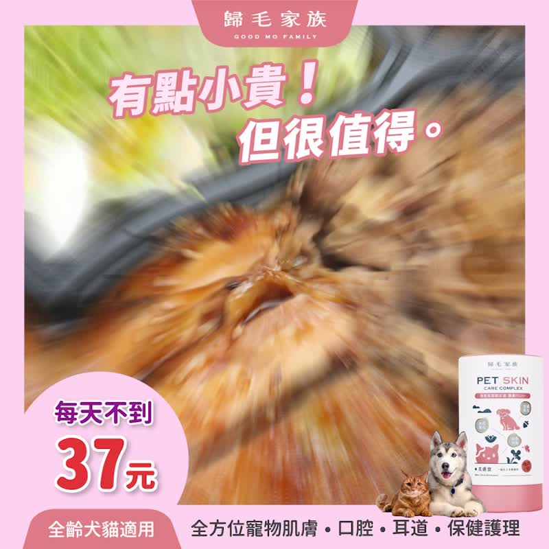 【歸毛家族】Good寶系列寵物保健品－美膚寶4入組(二代升級) - 其他 - 其他材質 