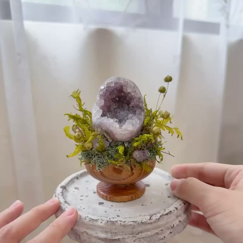 仙仙紫水晶 小恐龍大嘴 窩窩晶鎮。 微景觀永生葉材 綠植栽 - 盆栽/植栽 - 水晶 紫色