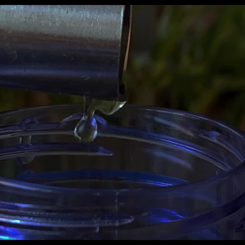 Customized Magnolia Floral Fragrance | - Fragrances - Other Materials 