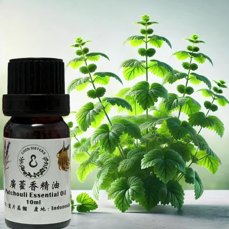 木質調精油 廣霍香精油 100%單方純精油 10ml/50ml 贈精美擴香石 - 香氛/精油/擴香 - 精油 