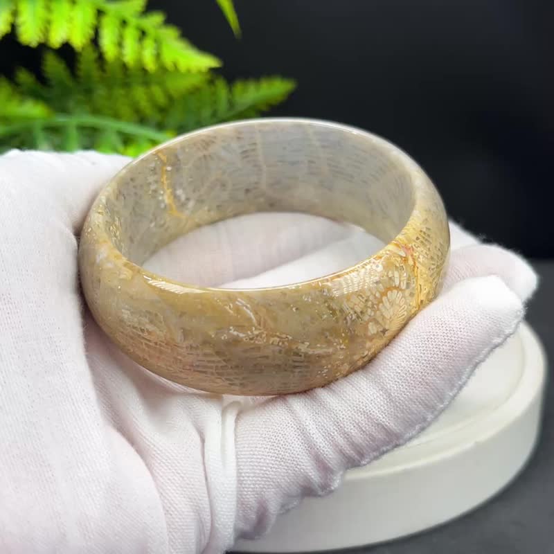 灰黃珊瑚玉手镯 55MM 高瓷玉化天眼骨骼鳳尾紋 靈性靜心 招財好運 - 手鍊/手環 - 玉石 